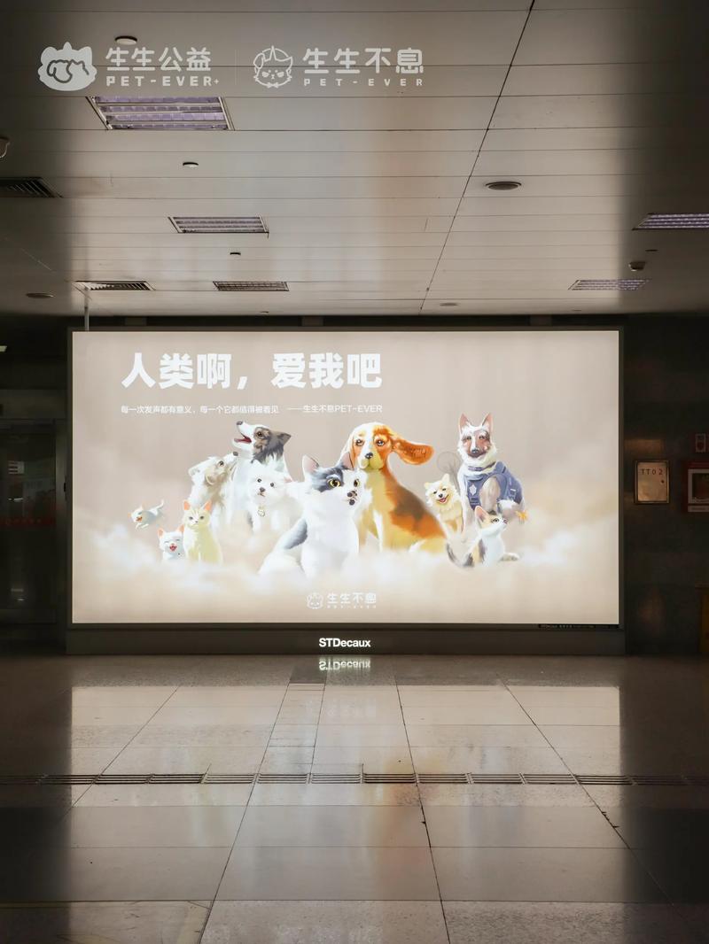 地铁广告投放全攻略：从渠道选择到价格解析